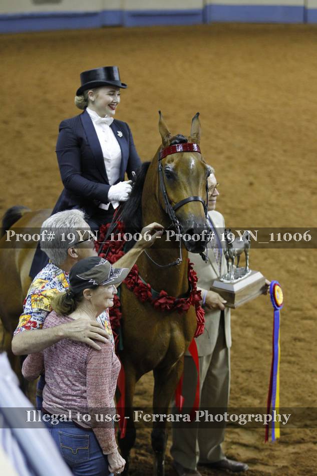 Proof 19YN_11006