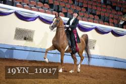 19YN_11017 proof