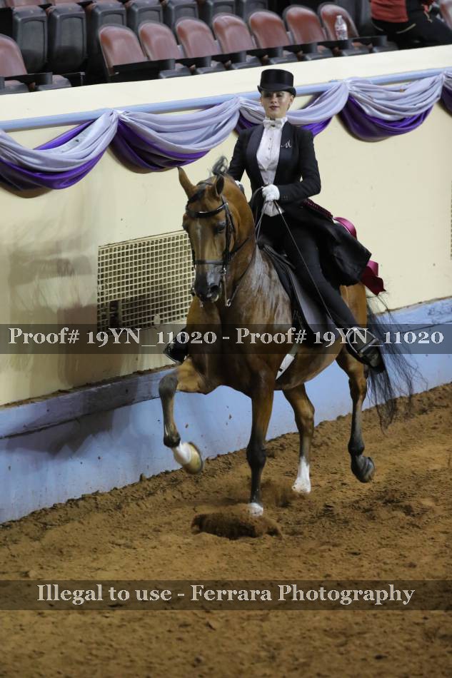 Proof 19YN_11020
