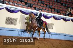 19YN_11022 proof