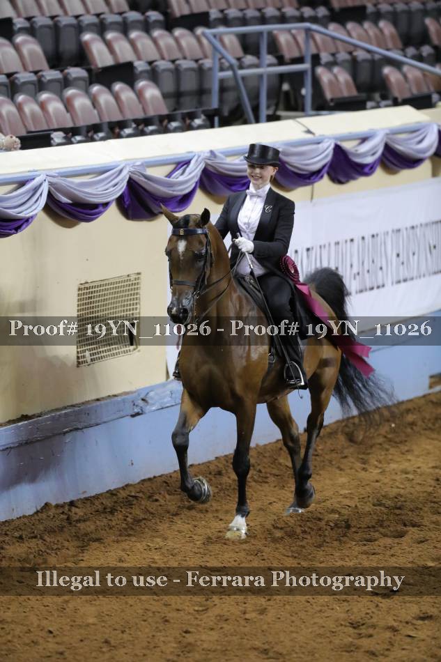 Proof 19YN_11026