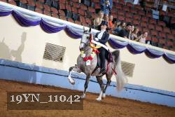 19YN_11042 proof