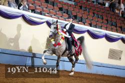 19YN_11044 proof