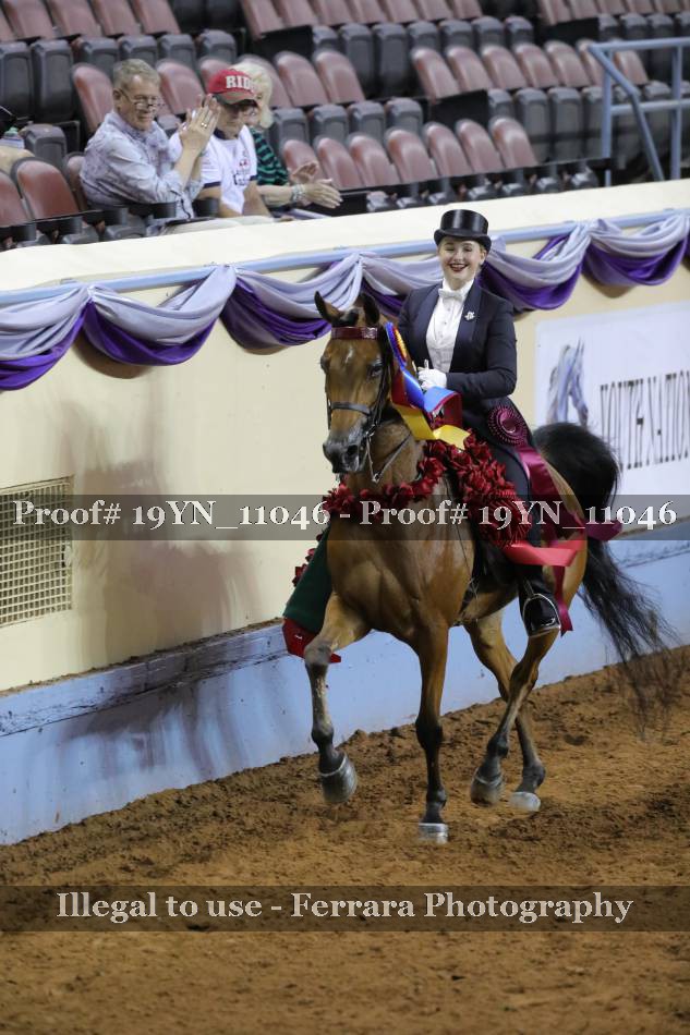Proof 19YN_11046