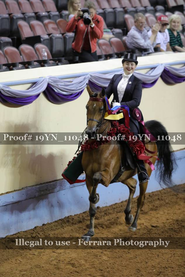 Proof 19YN_11048