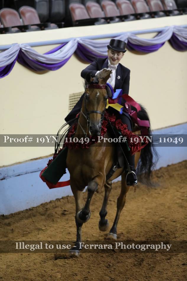 Proof 19YN_11049