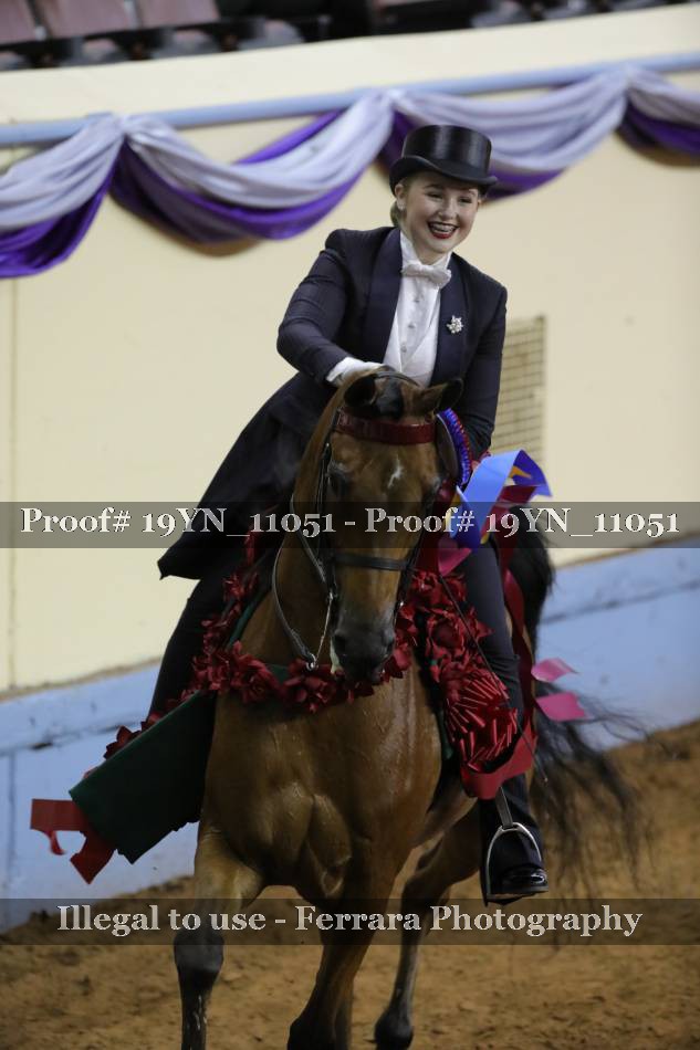 Proof 19YN_11051