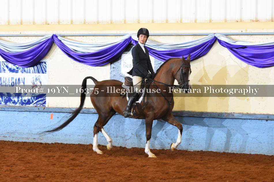 Proof 19YN_16375