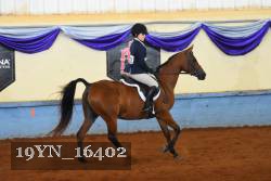 19YN_16402 proof