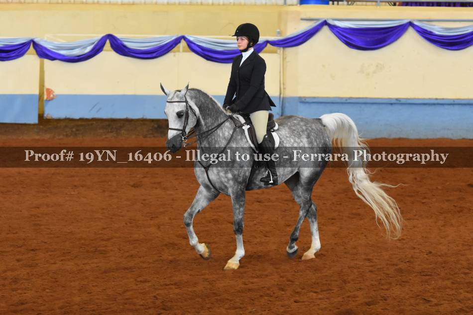 Proof 19YN_16406