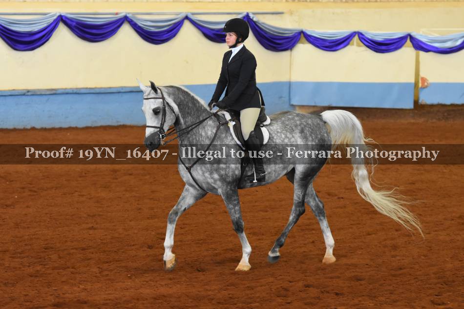 Proof 19YN_16407