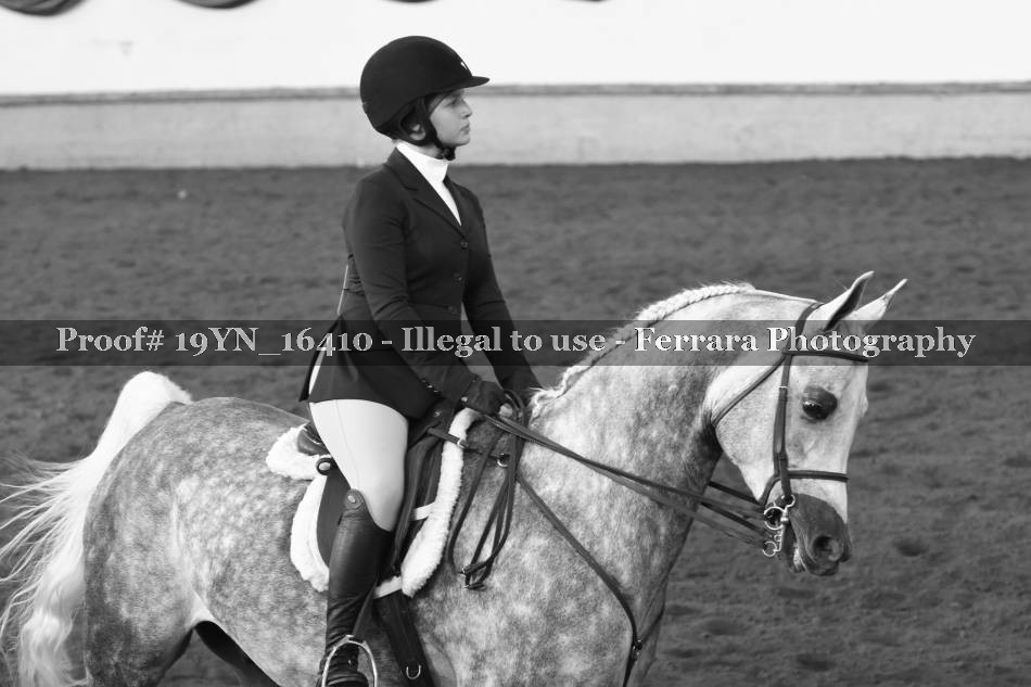 Proof 19YN_16410