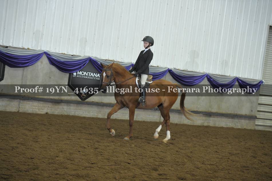 Proof 19YN_41635