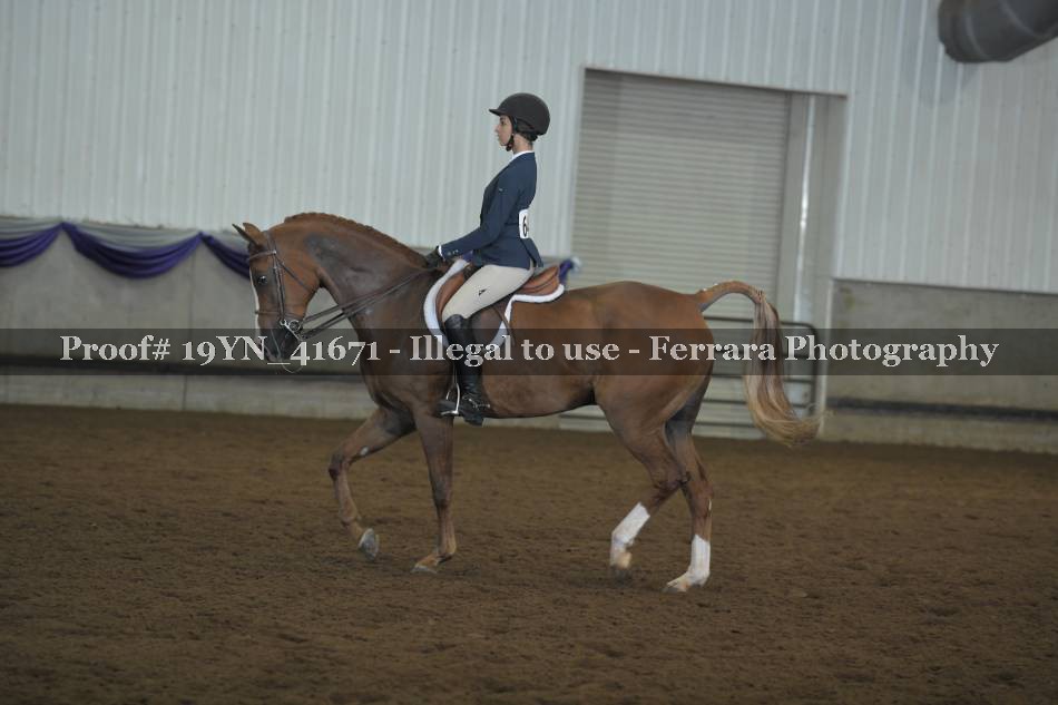 Proof 19YN_41671