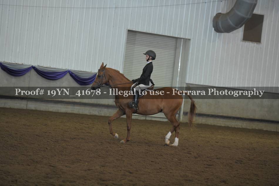 Proof 19YN_41678