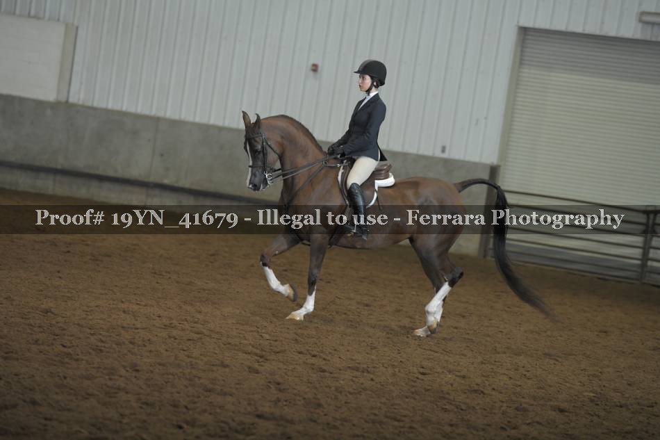 Proof 19YN_41679