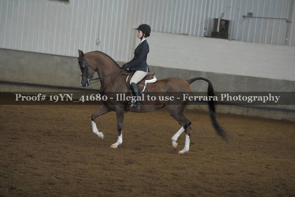 Proof 19YN_41680