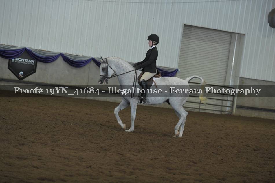 Proof 19YN_41684