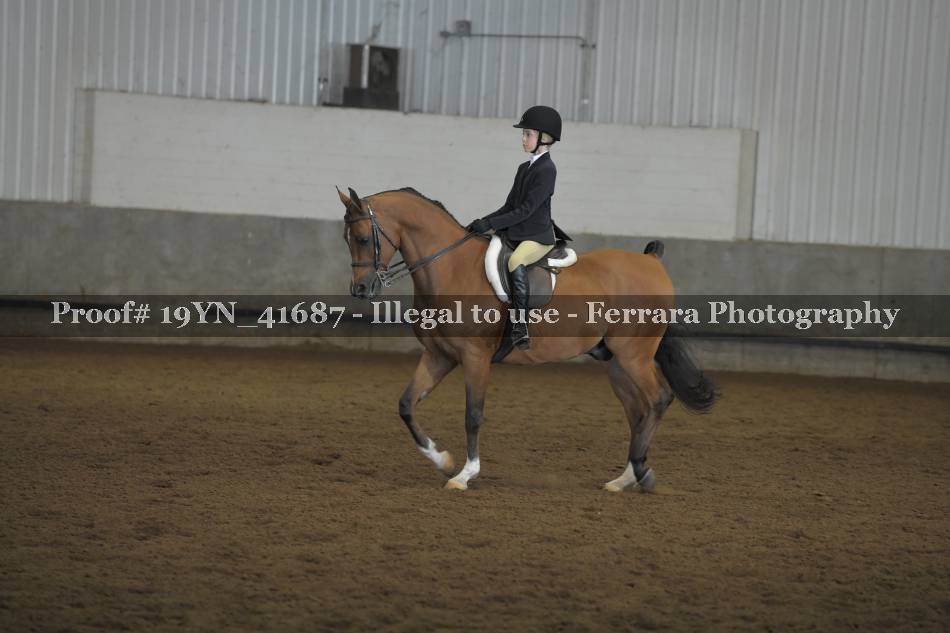 Proof 19YN_41687