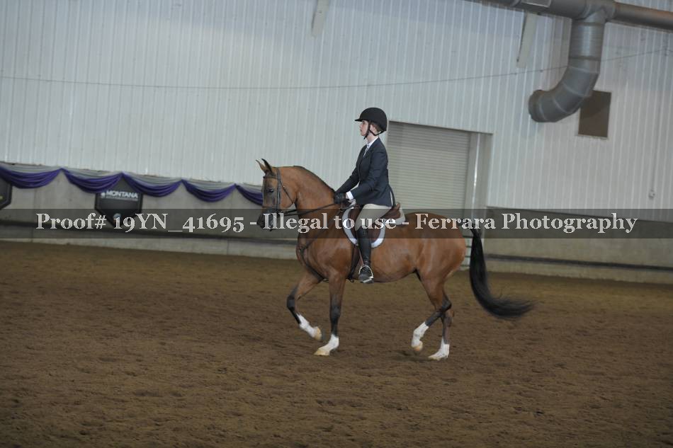 Proof 19YN_41695