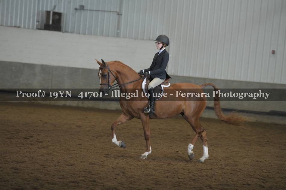 Proof 19YN_41701