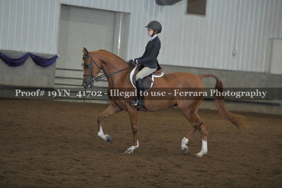 Proof 19YN_41702