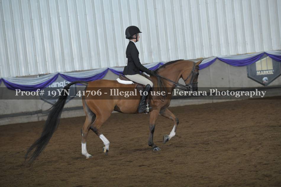 Proof 19YN_41706