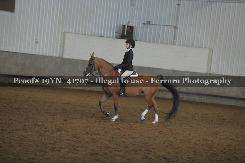 Proof 19YN_41707