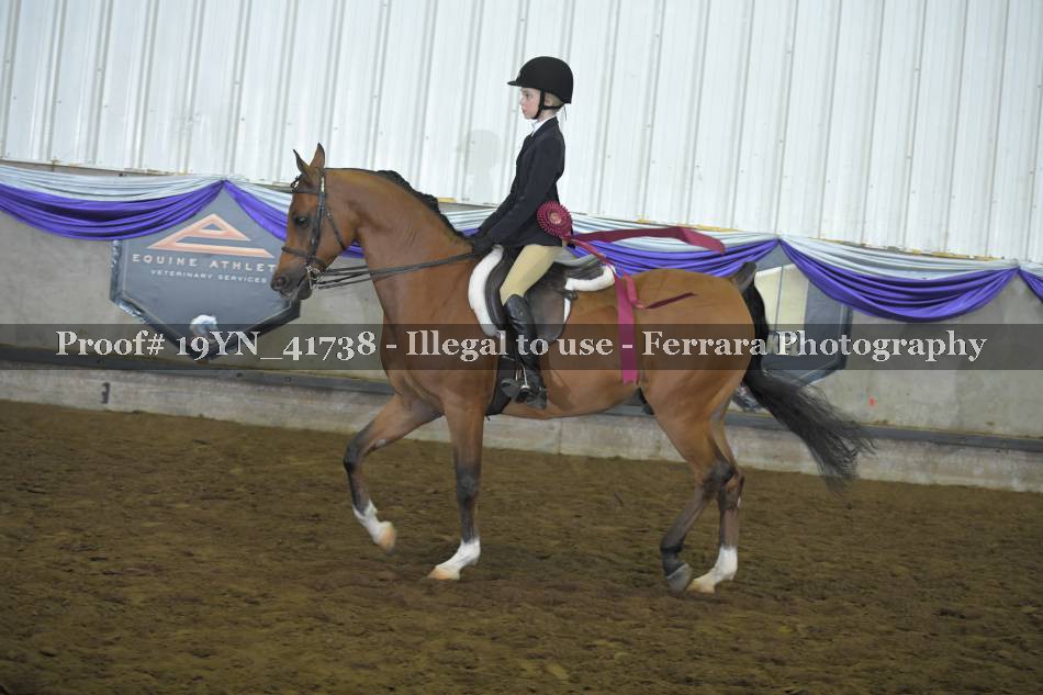 Proof 19YN_41738