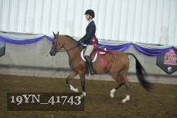 19YN_41743 proof