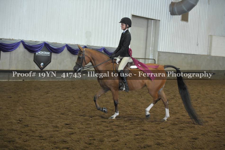 Proof 19YN_41745
