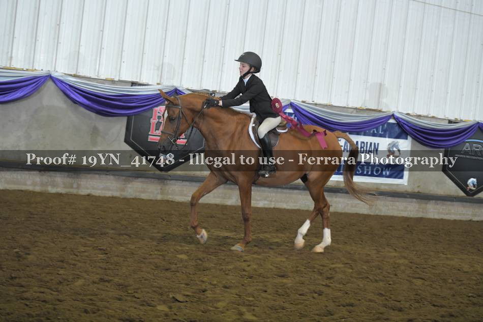 Proof 19YN_41748