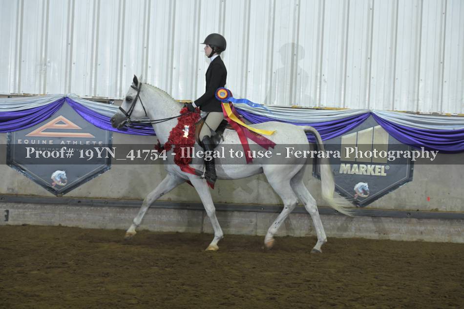 Proof 19YN_41754