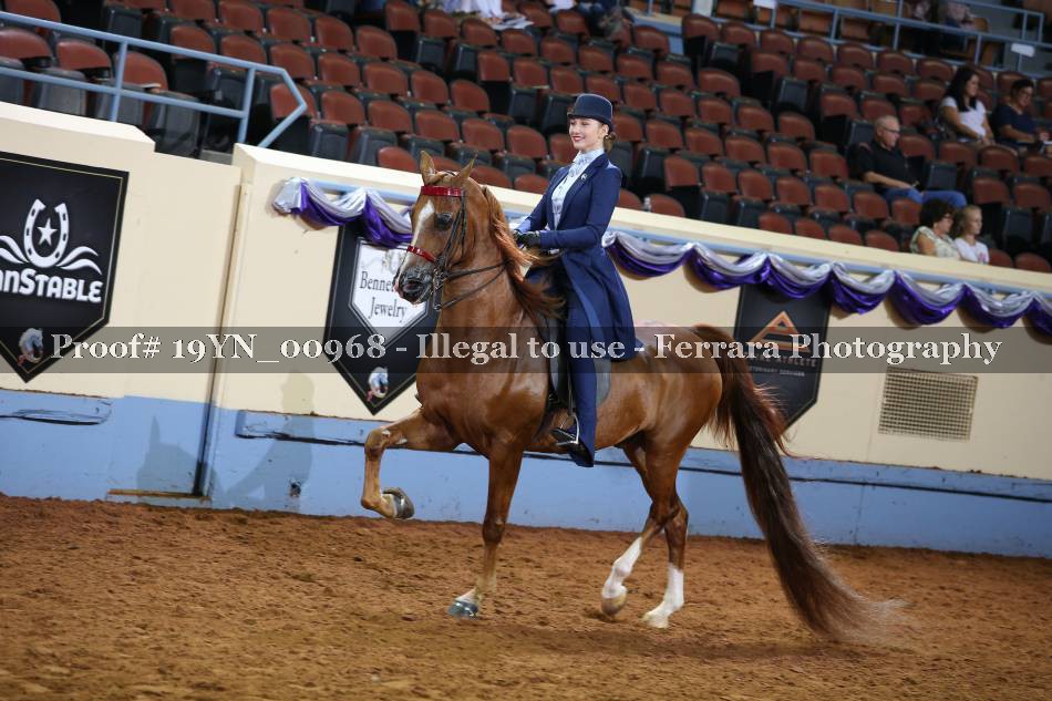 Proof 19YN_00968