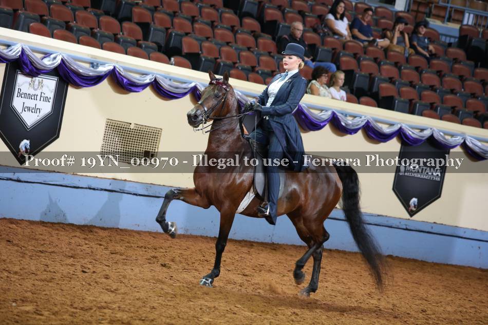 Proof 19YN_00970