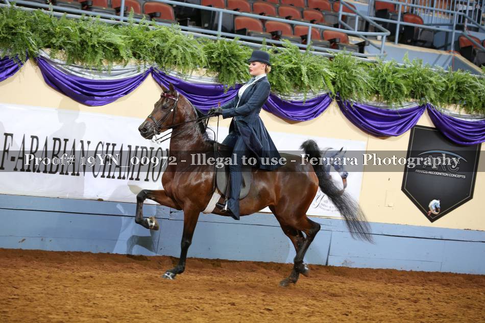 Proof 19YN_00972