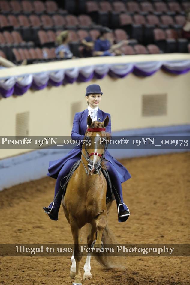 Proof 19YN_00973