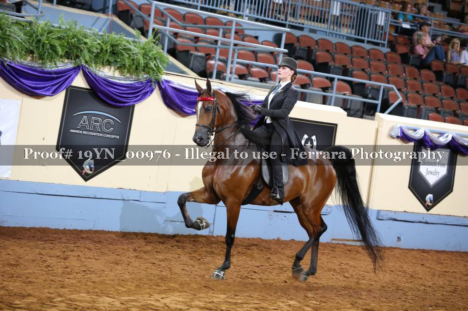 Proof 19YN_00976