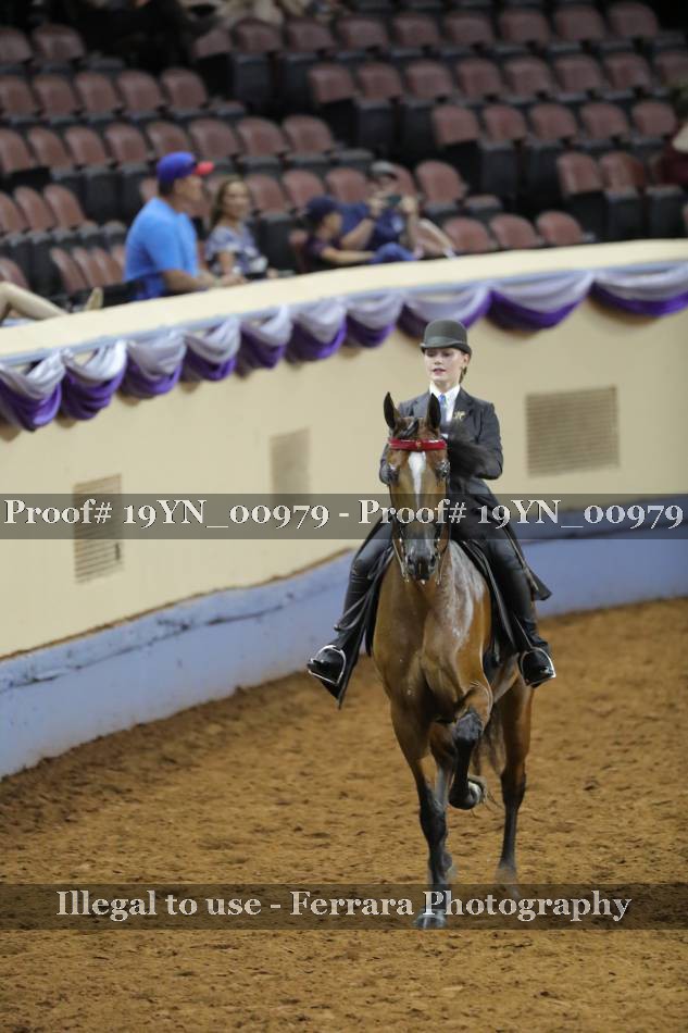 Proof 19YN_00979