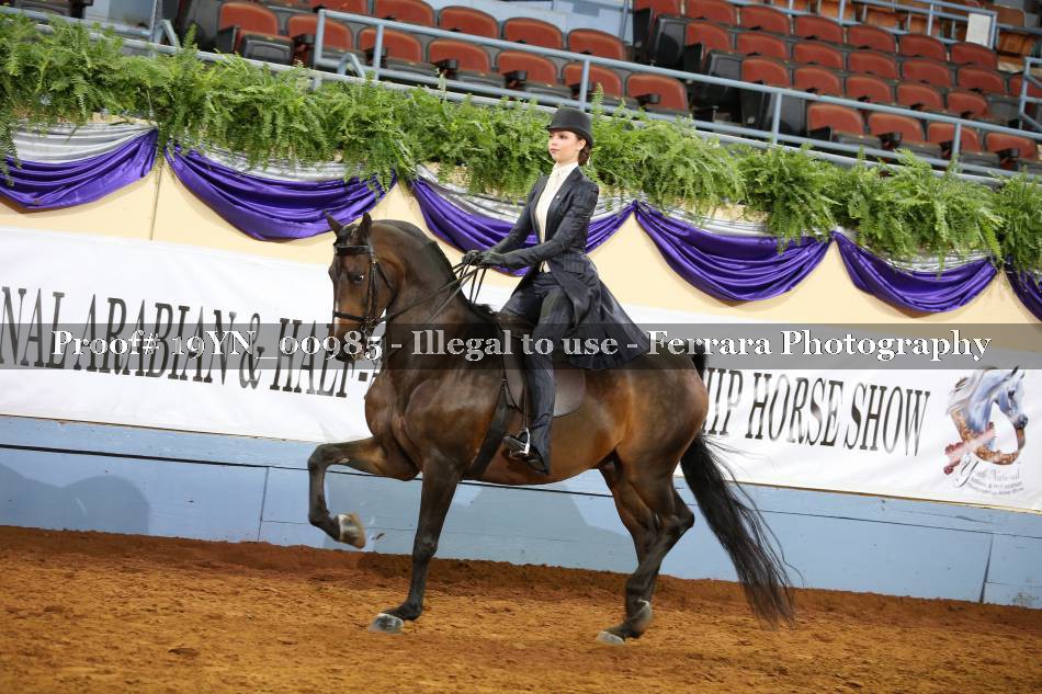 Proof 19YN_00985