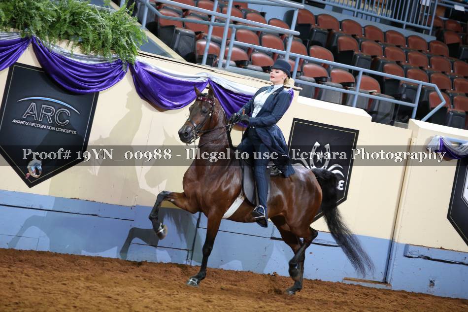 Proof 19YN_00988