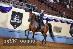 19YN_00990 proof