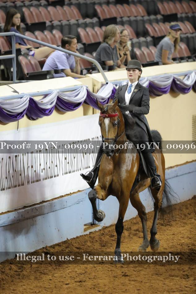Proof 19YN_00996