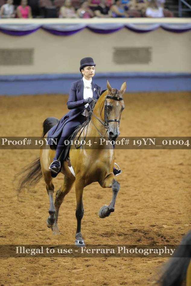 Proof 19YN_01004