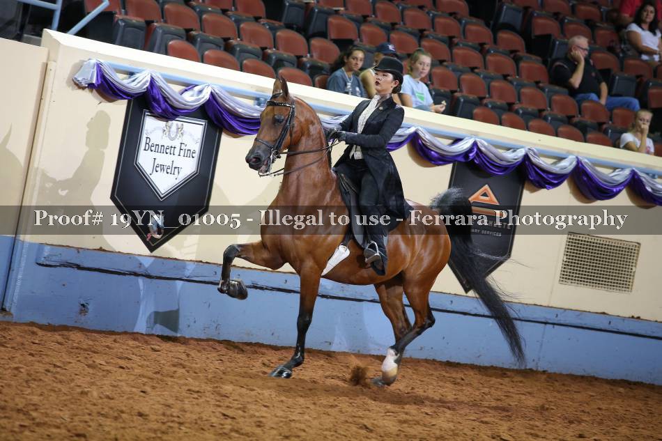 Proof 19YN_01005