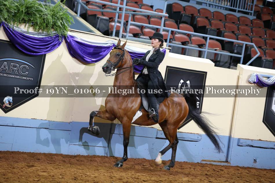 Proof 19YN_01006