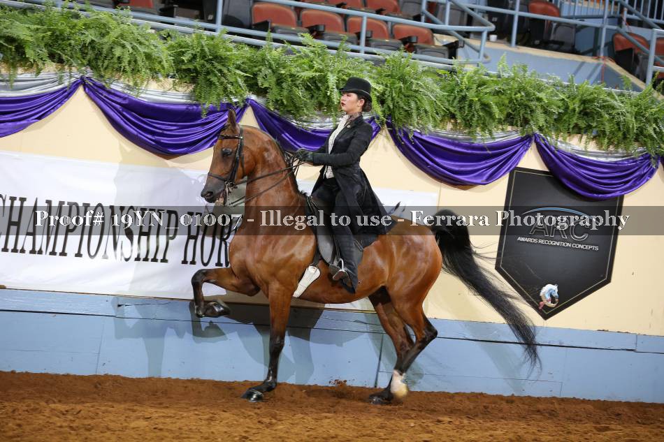 Proof 19YN_01007