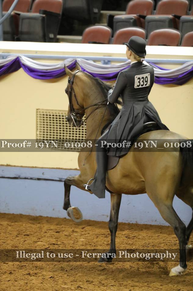 Proof 19YN_01008