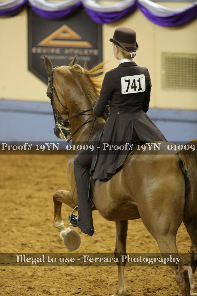 Proof 19YN_01009