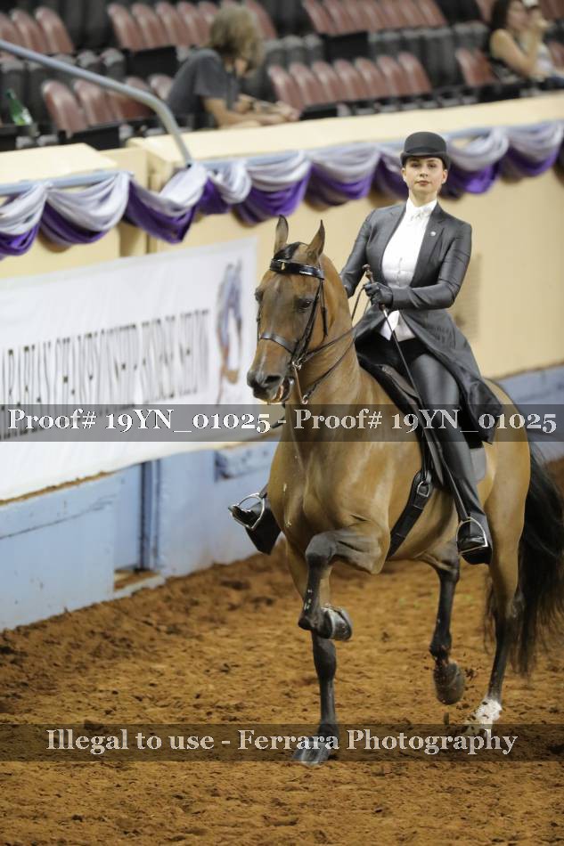 Proof 19YN_01025